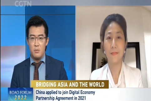 何晶晶副研究员接受央视采访 谈中国数字经济前景